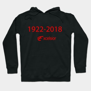 RIP STAN LEE Hoodie